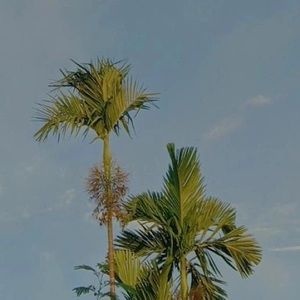 Meet your Posher, Willow